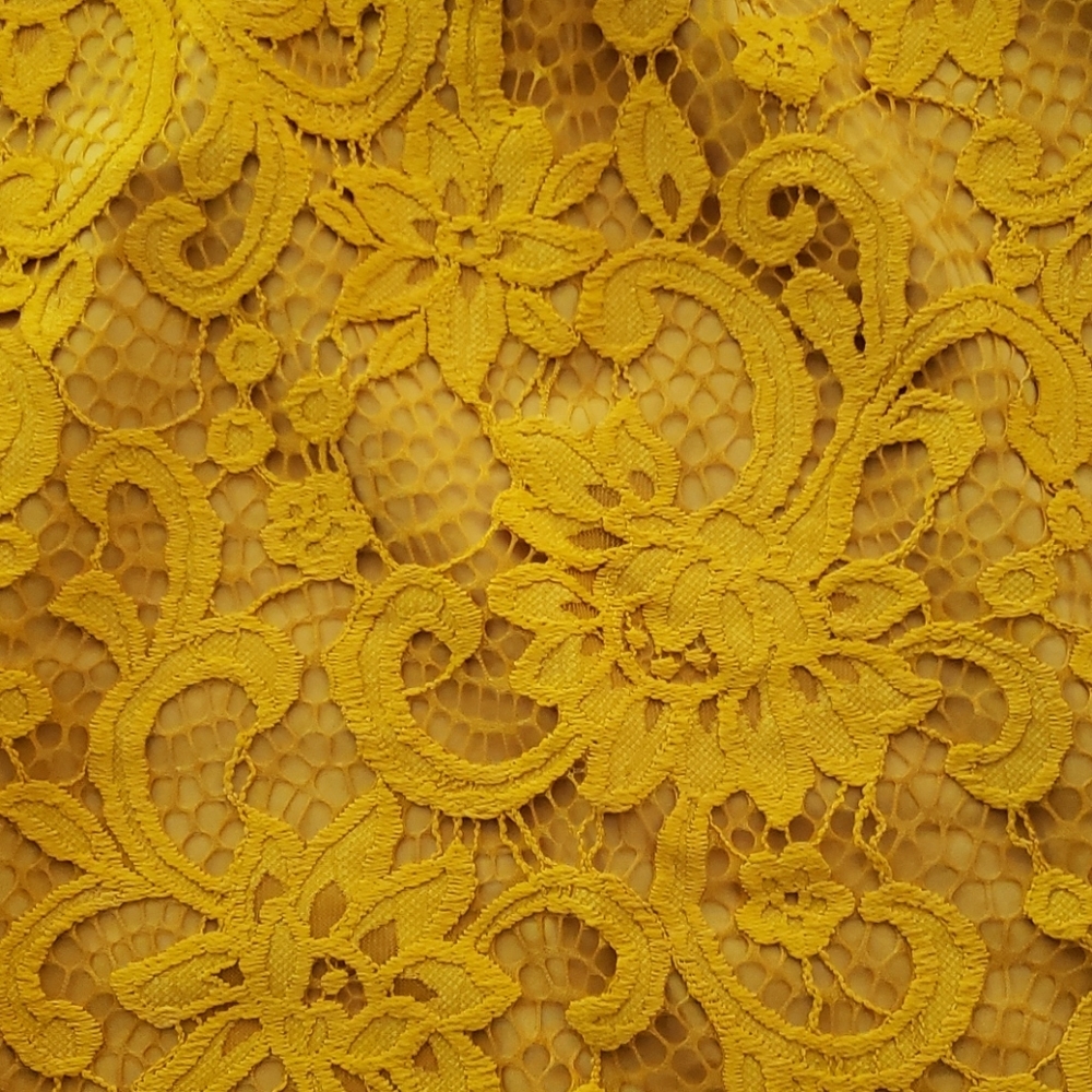 Loft Lace Top NWT - Picture 3 of 5